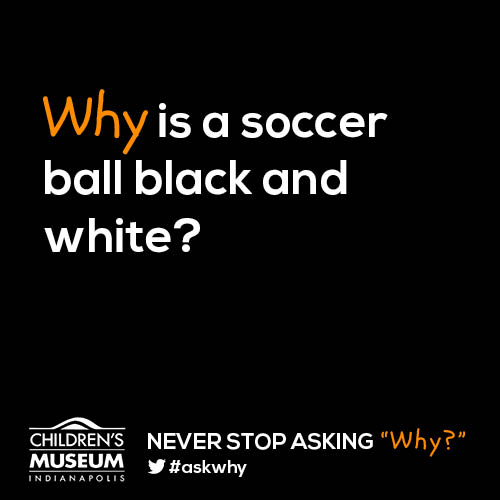 Why is a soccer ball black and white?
