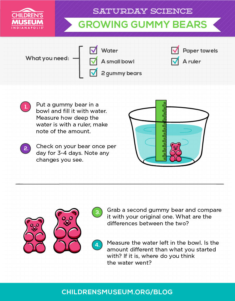 Saturday Science: Growing Gummy Bears