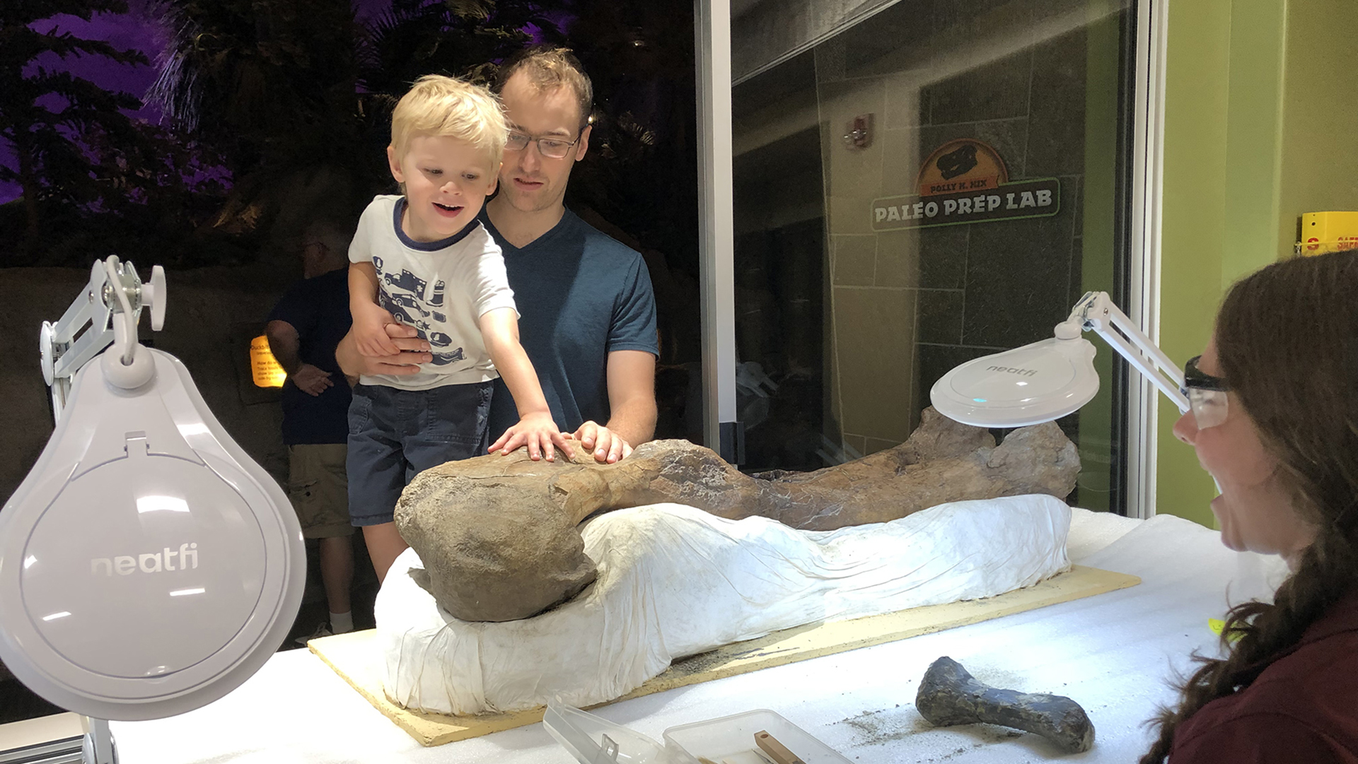 Grown-up and child touching fossil in paleontology lab.