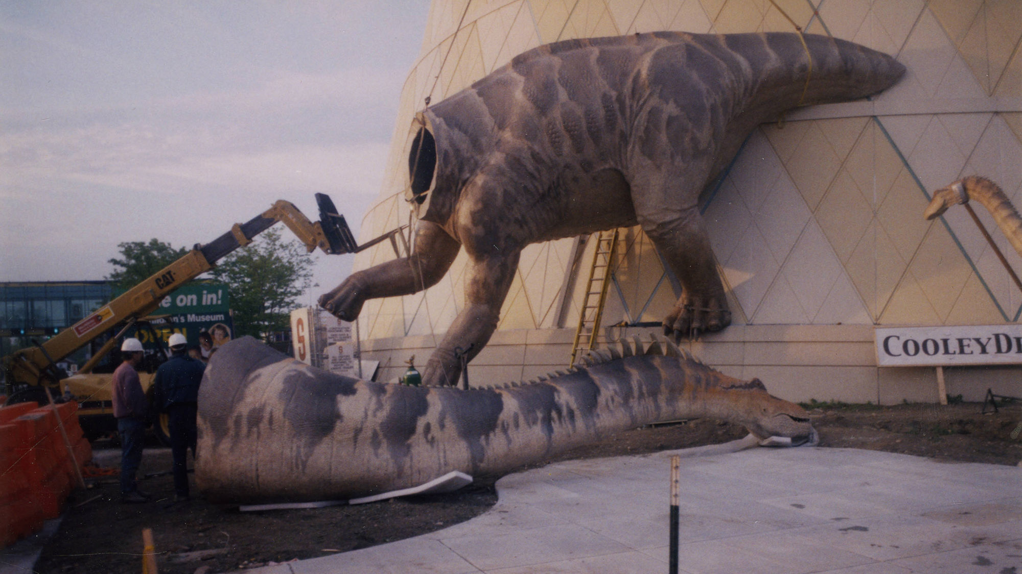 Construction of the Alamasaurs