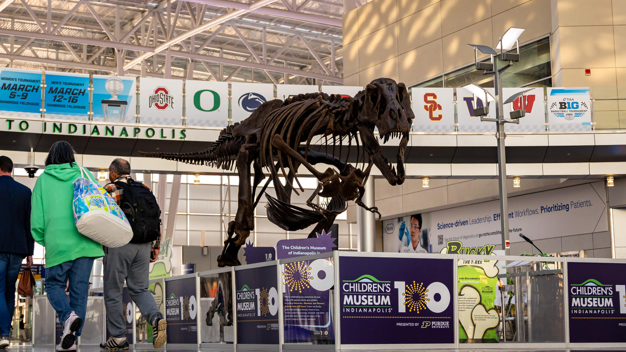 Bucky the T. rex at the Indianapolis International Airport.