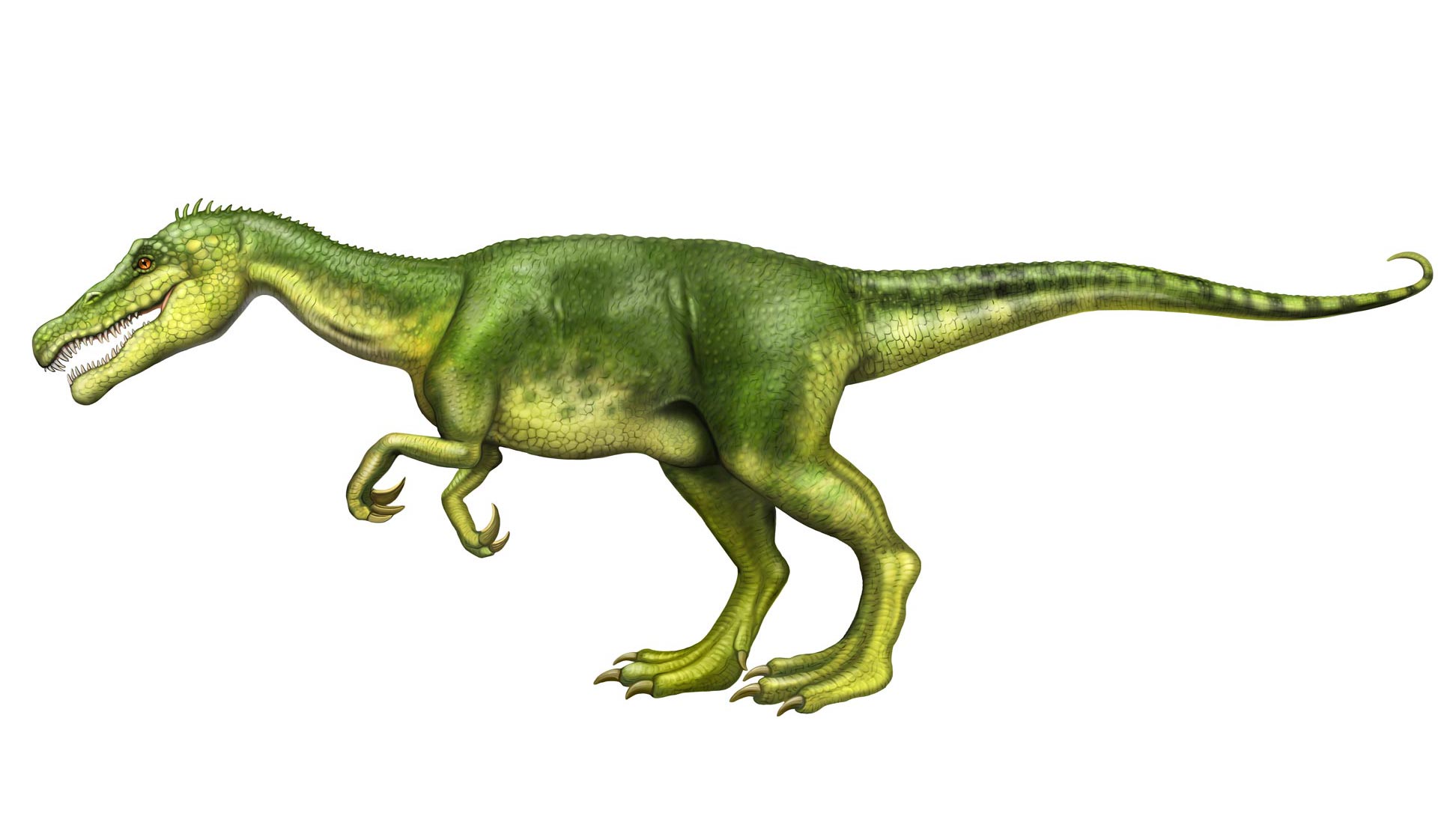 Creative commons paleo art of Baryonyx.