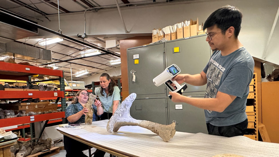 Paleo team scanning dinosaur bones.