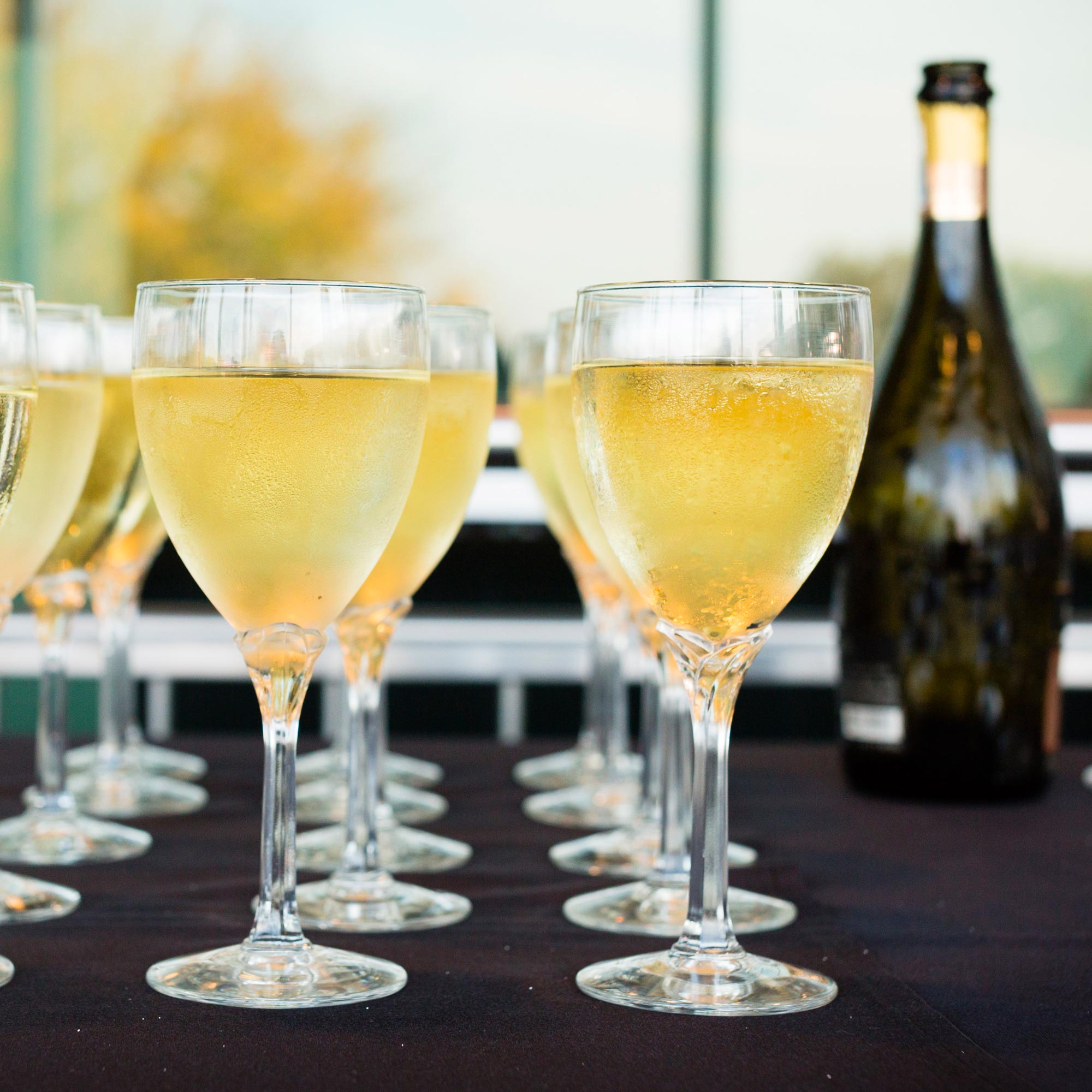 Filled champagne glasses.