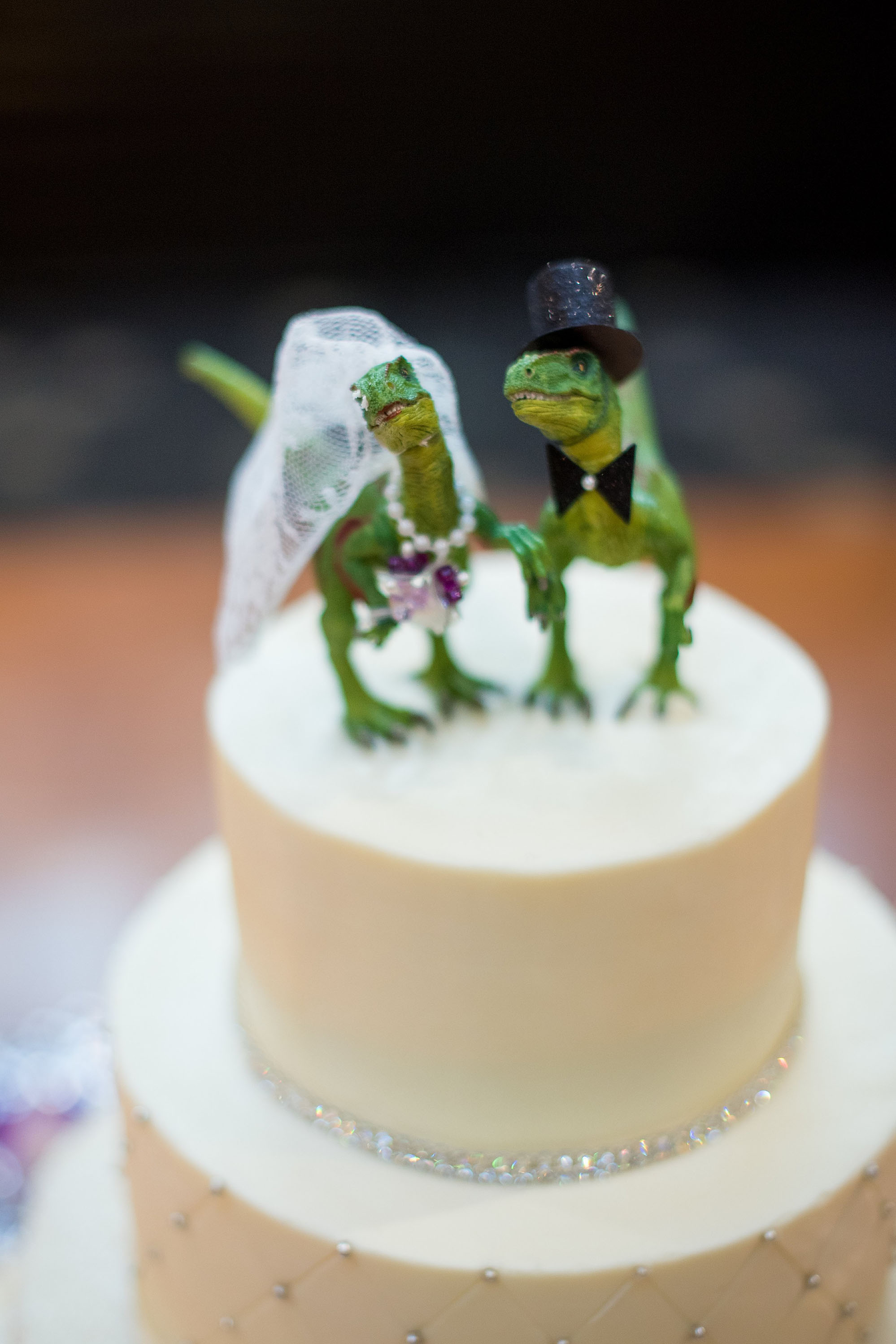 Dinosaur bride and groom wedding cake topper.