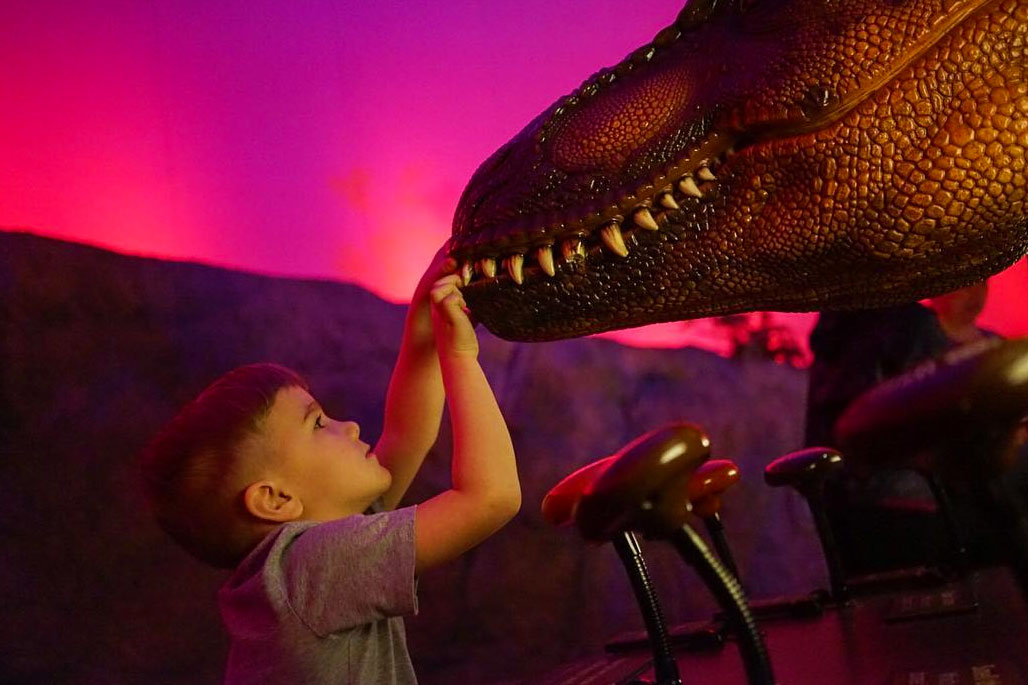 Child touching mouth of dinosaur head sculpture.