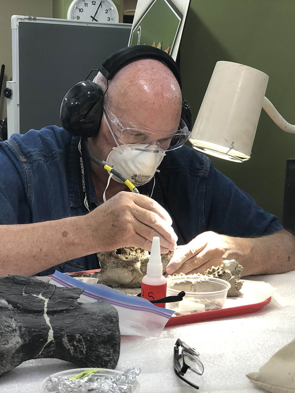 Volunteer cleaning fossil.