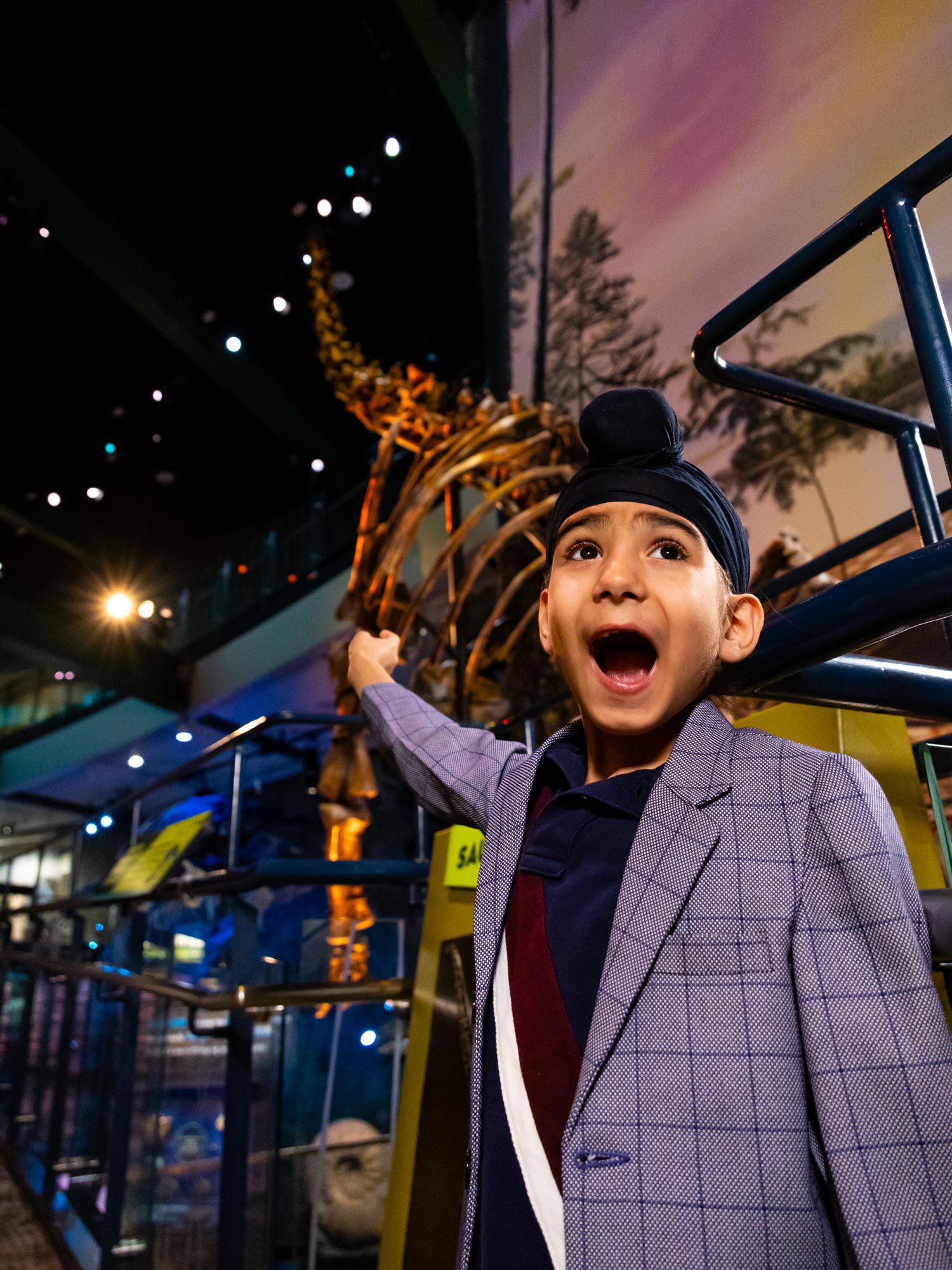 https://www.childrensmuseum.org/visit/experiences/exhibits/dinosphere