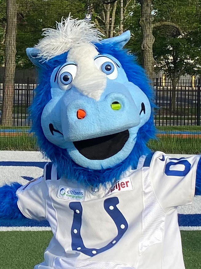 Indianapolis Colts mascot, Blue.
