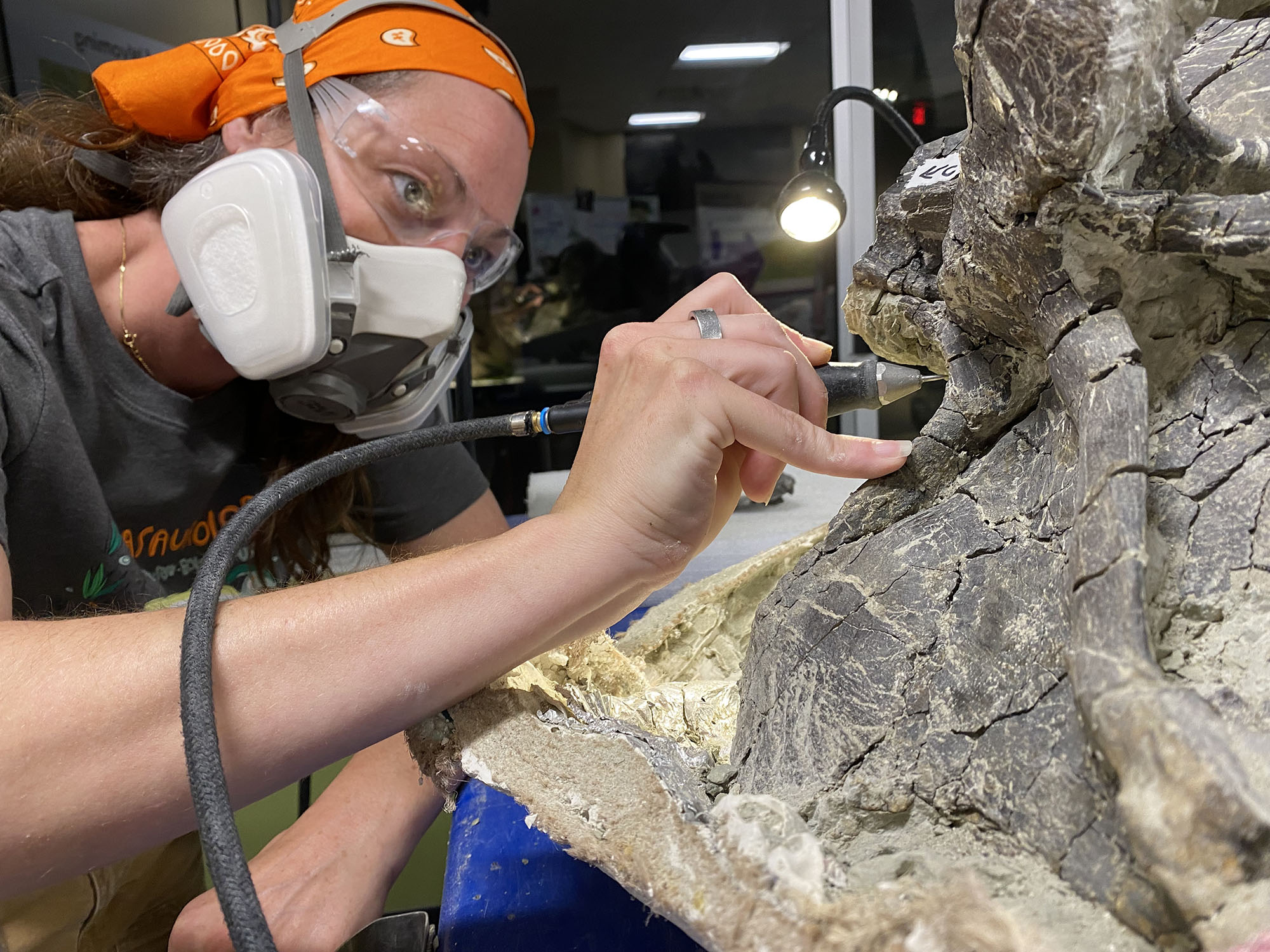 Paleontologist cleaning fossil.