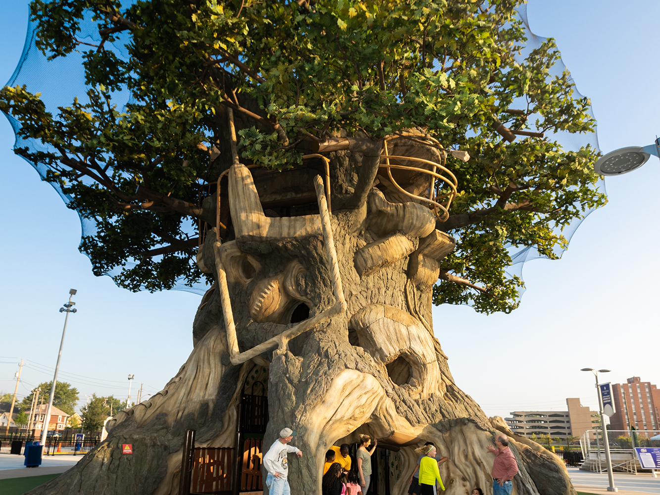 Tree House of Sports.