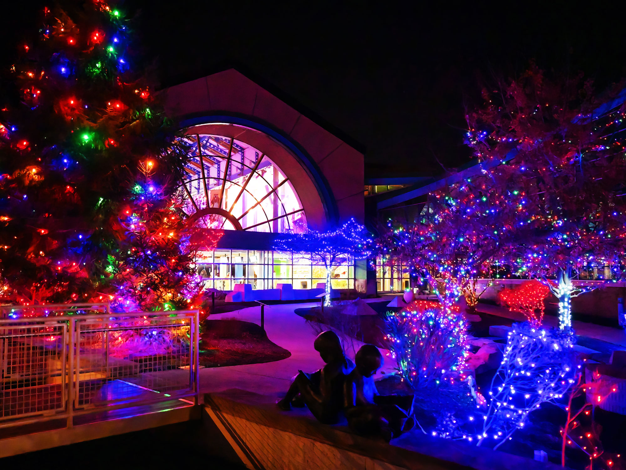 Museum entrance at night with colored lights on the trees.