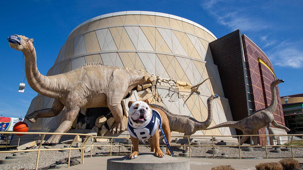 Butler Blue IV posing with the March Madness dino sculptures bursting out of The Children's Museum of Indianapolis