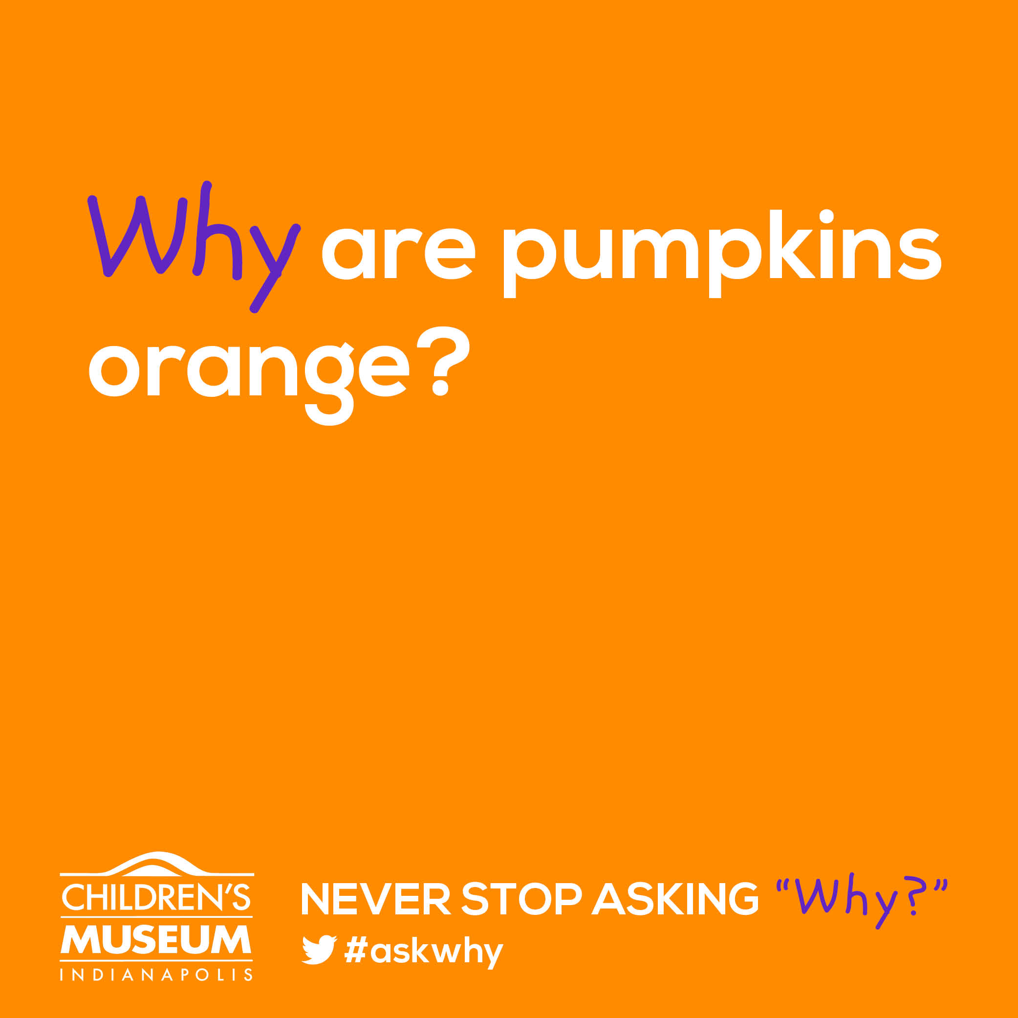 Why Are Pumpkins Orange?