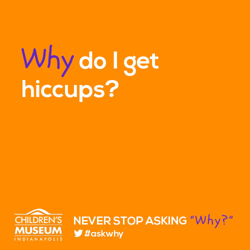Why Do I Get Hiccups?