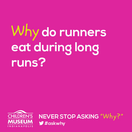 Why Do Runners Eat During Long Runs?