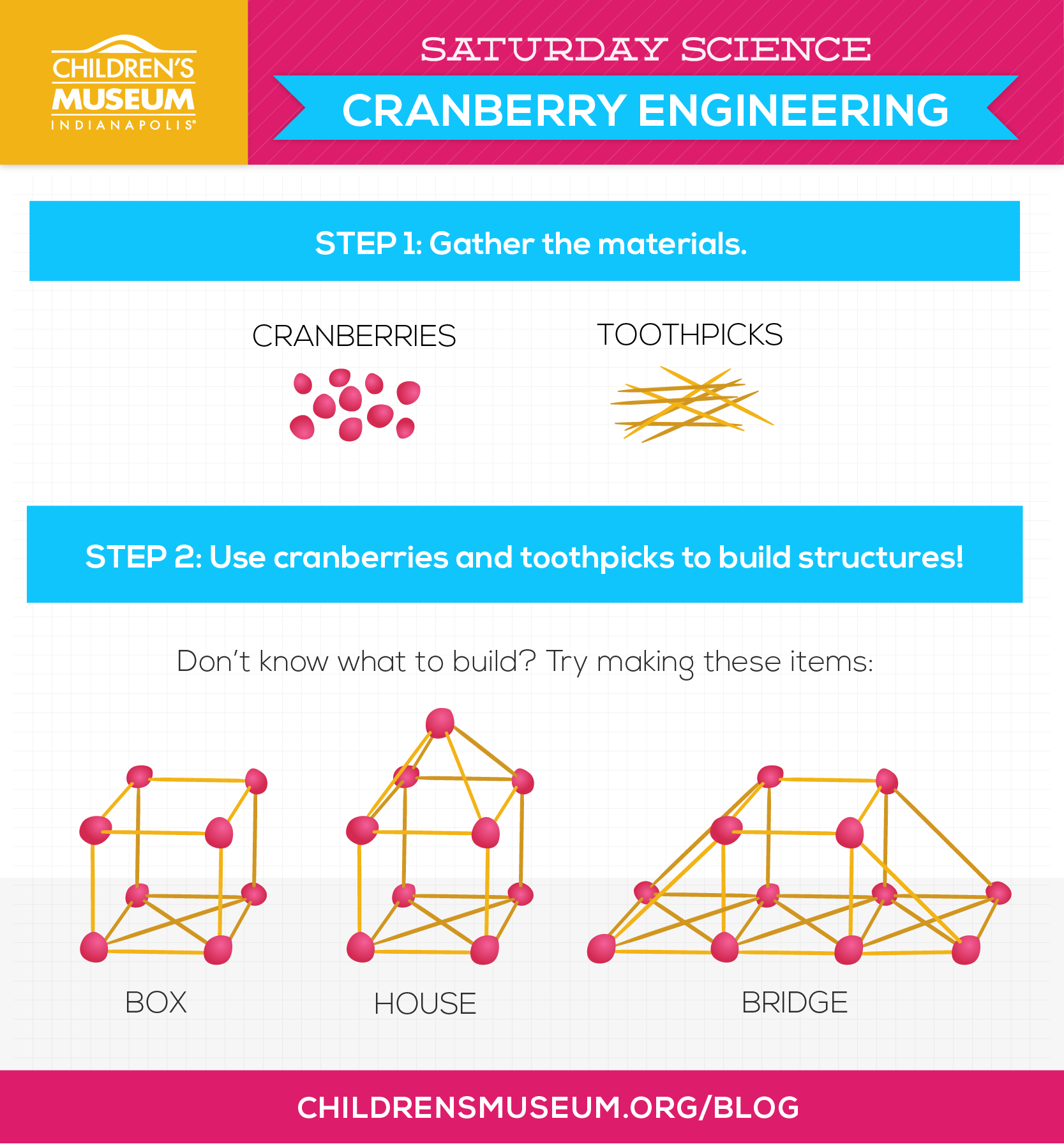Saturday Science: Cranberry Engineering 