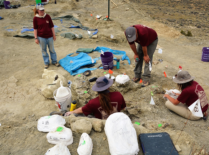 Field jackets in the Mission Jurassic dig site