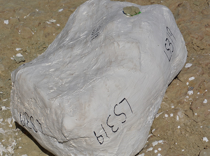 Field jacket at the Mission Jurassic dig site