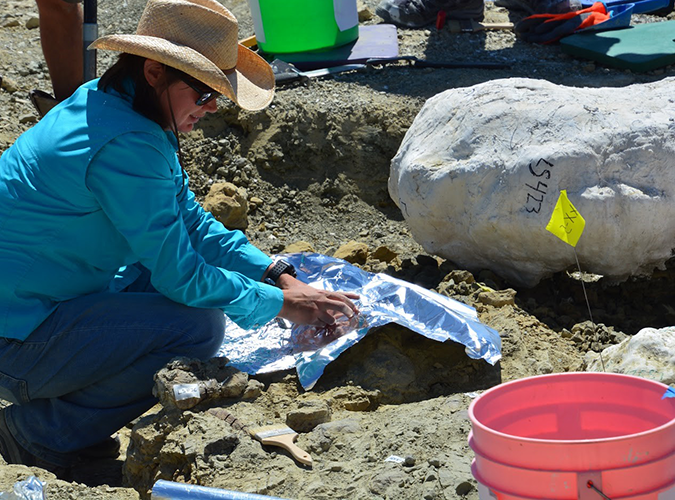 Applying aluminum foil to the top of a fossil