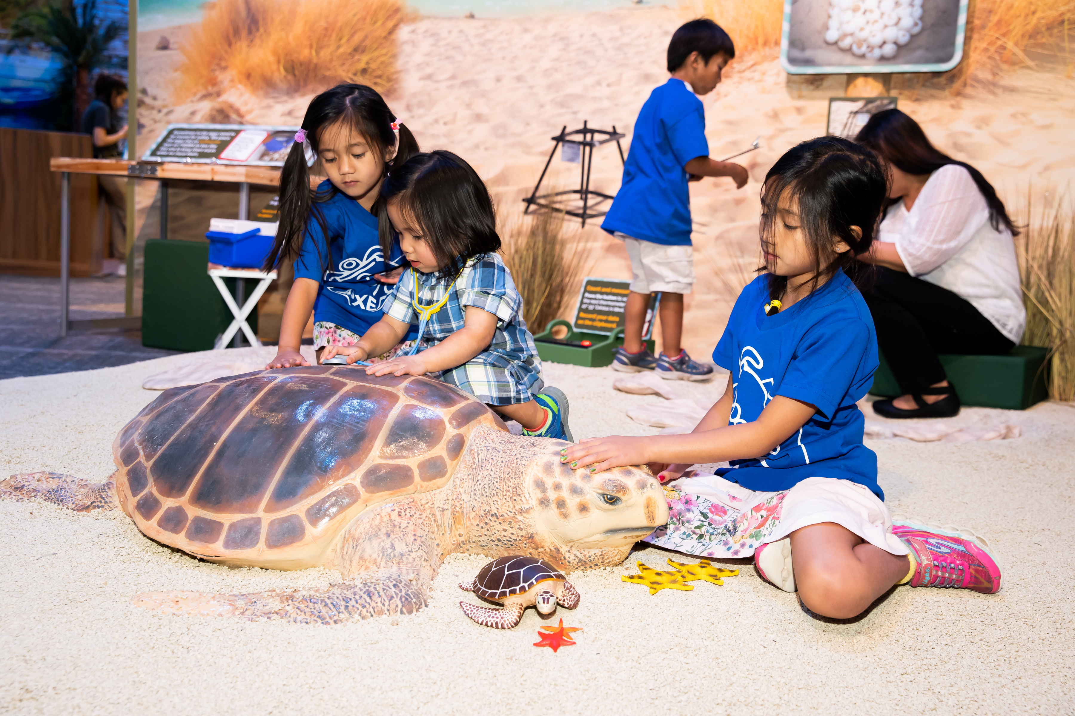 The Turtle Rescue Center in Take Me There: Greece at The Children's Museum of Indianapolis