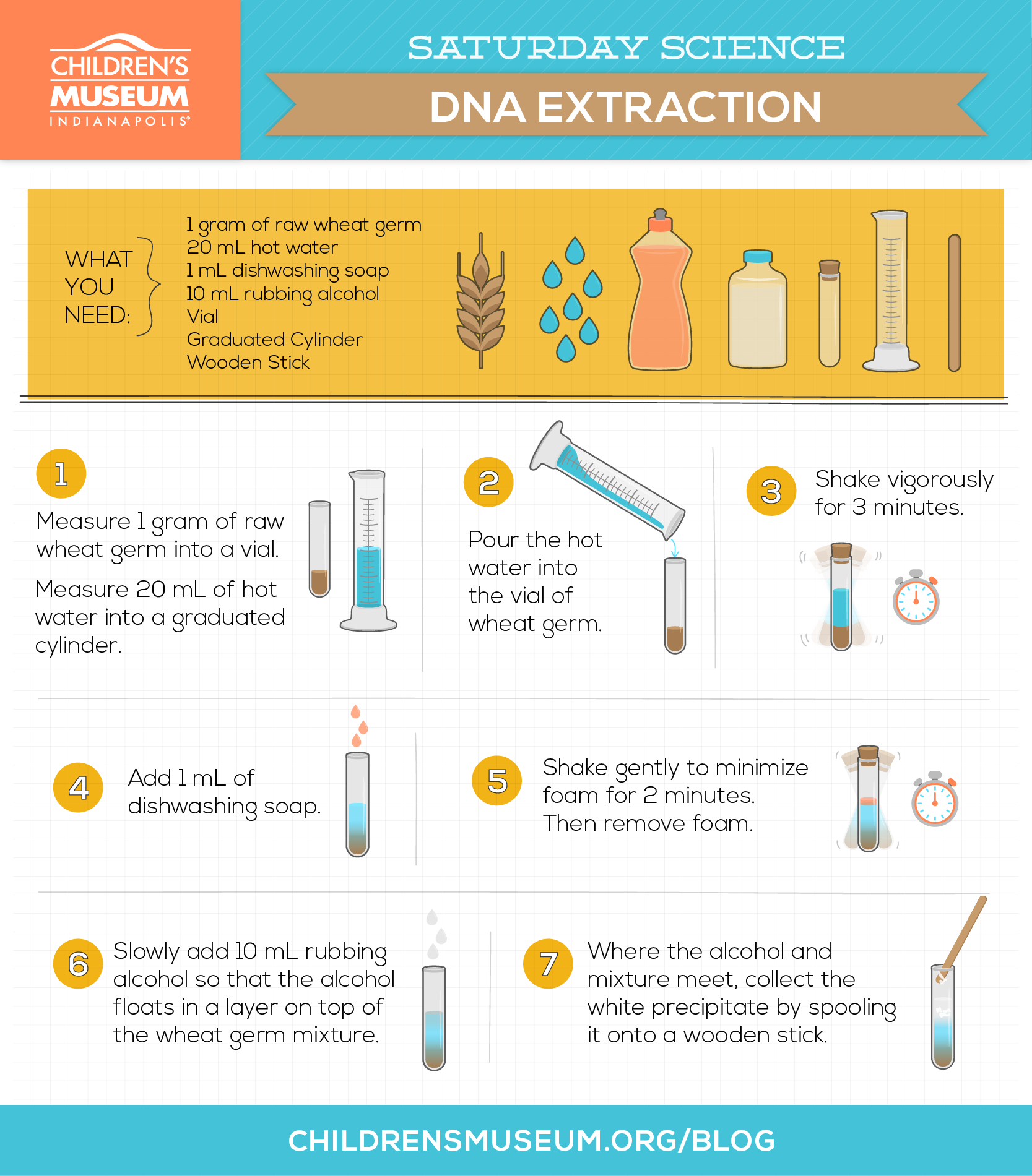 Saturday Science: Wheat Germ DNA Extraction | The Children's Museum of  Indianapolis