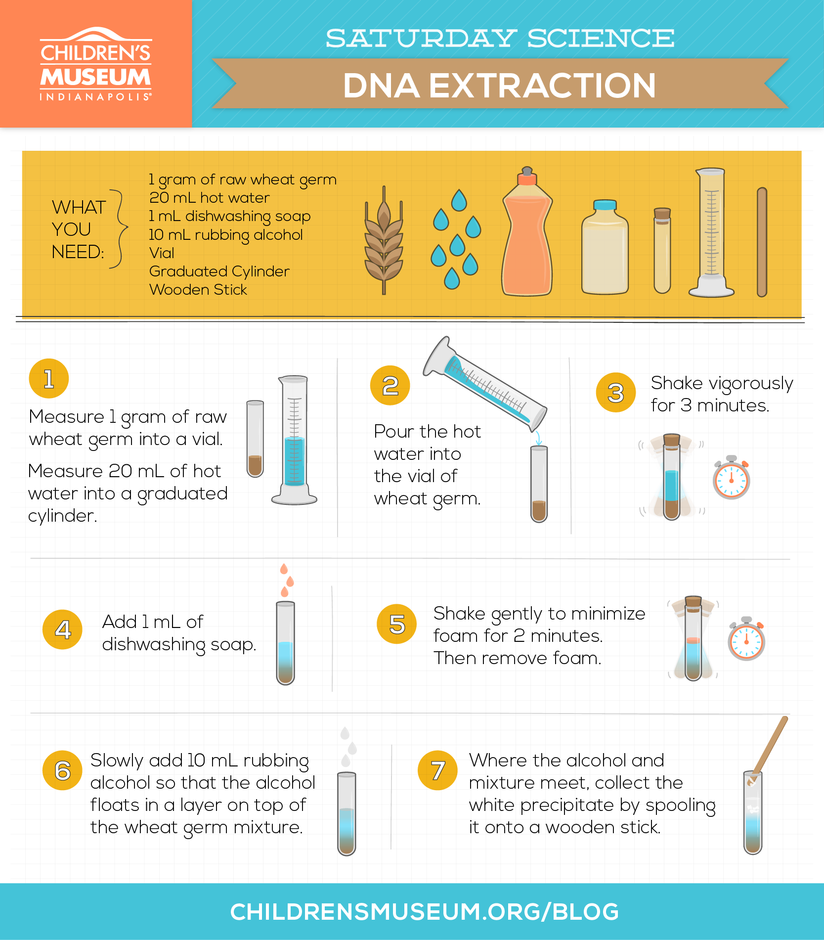 Saturday Science: DNA Extraction from Wheat Germ