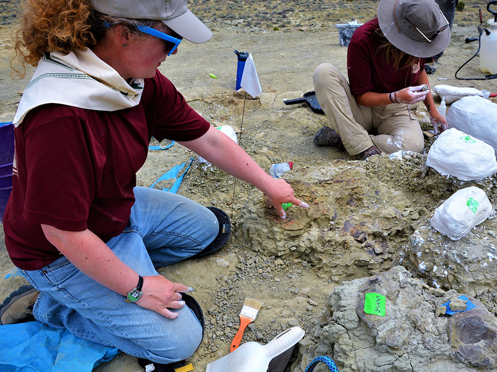 Digging at the Mission Jurassic dig site in Wyoming