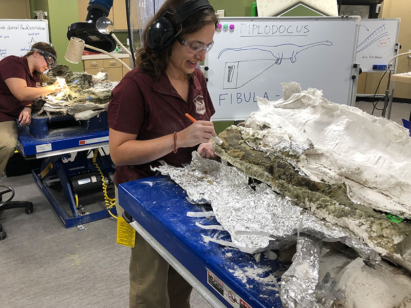 Mission Jurassic fossil prep work in the Jurassic Paleo Prep Lab at The Children's Museum of Indianapolis