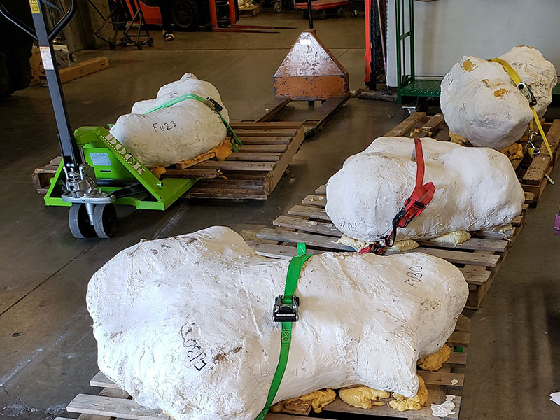 Mission Jurassic fossils ready for storage at The Children's Museum of Indianapolis