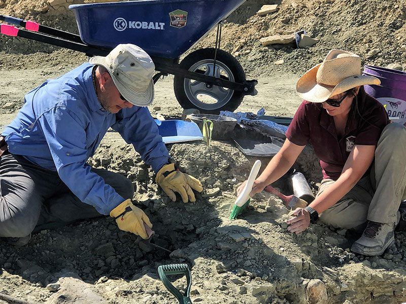 Diggint at the Mission Jurassic dig site in Wyoming