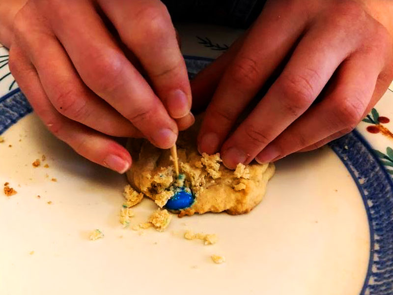 Paleo Cookie Dissection for Museum at Home with The Children's Museum of Indianapolis