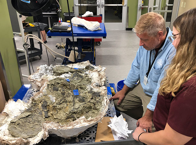 Examining a fossil in a partially removed field jacket in the Jurassic Paleo Prep Lab at The Children's Museum of Indianapolis