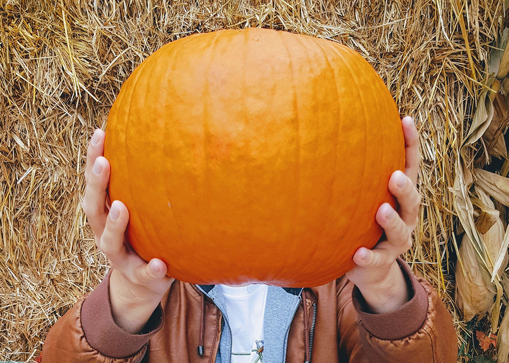 Person holding a pumpkin