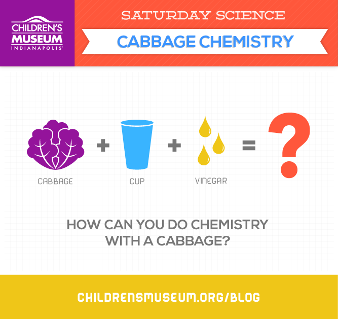 Saturday Science: Cabbage Chemistry