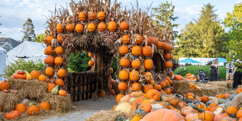 Pumpkins at Newfields Harvest Days