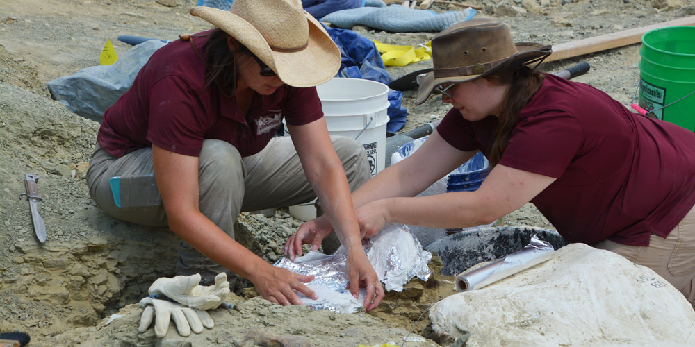 Scientists placing a fossil in a field jacket at the Jurassic Mile dig site in Wyoming.