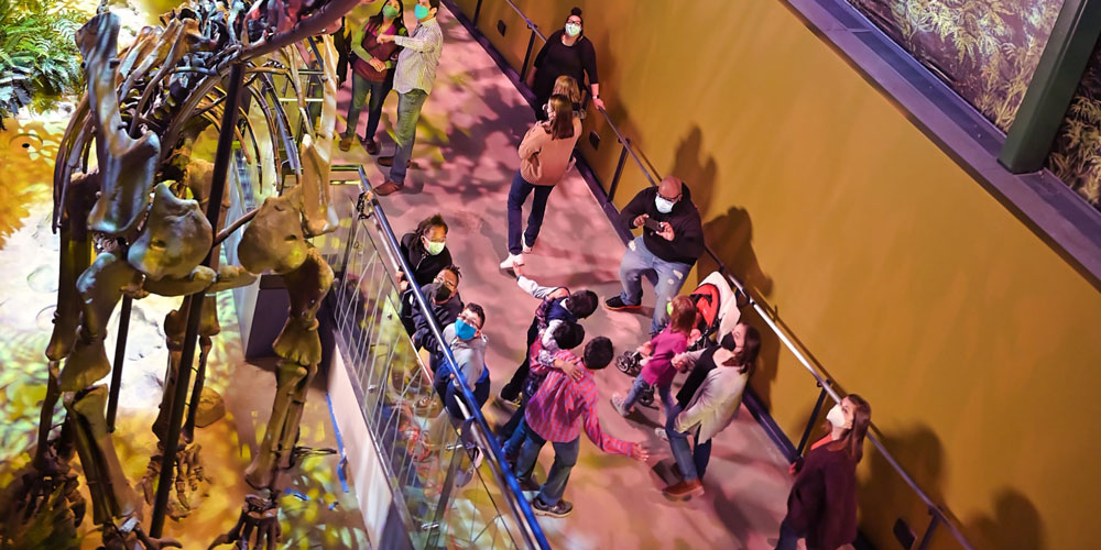 An overhead view of visitors taking photos in front of a sauropod in Giants of the Jurassic in the new Dinosphere.