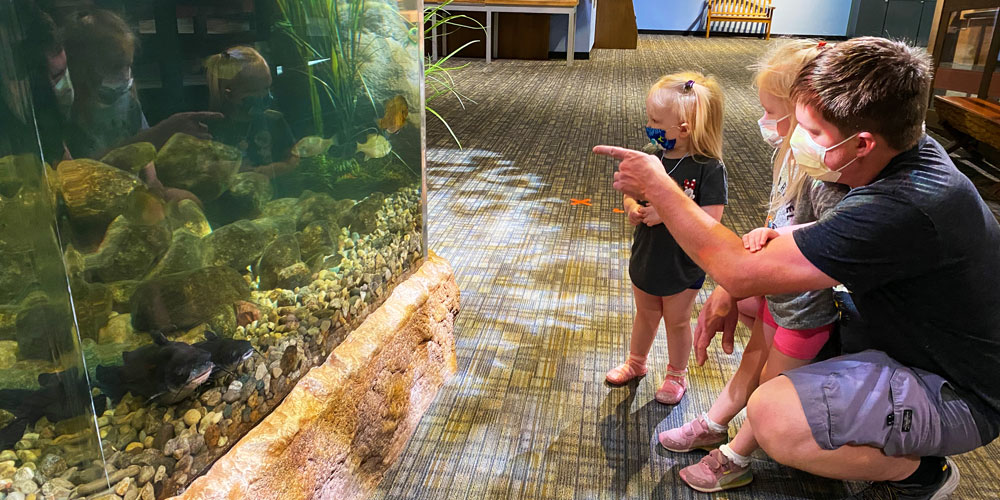 Father and two daughters looking at the Pond inside Corteva Agriscience ScienceWorks at The Children's Museum of Indianapolis