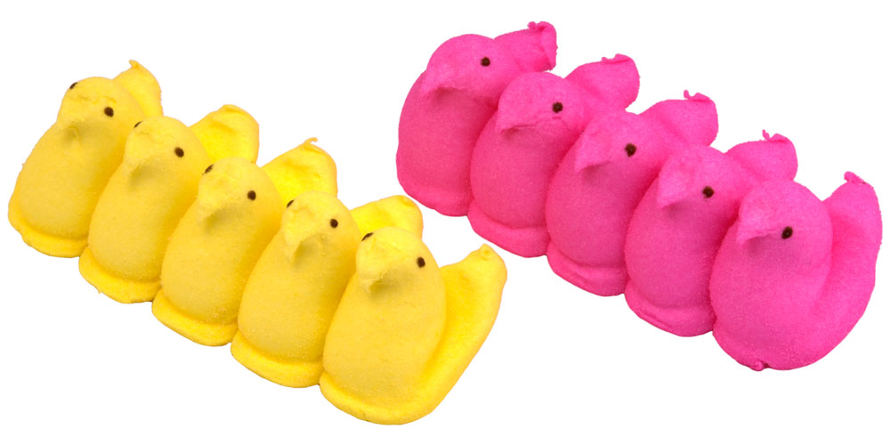 A row of yellow chick Peeps and a row of pink chick Peeps.