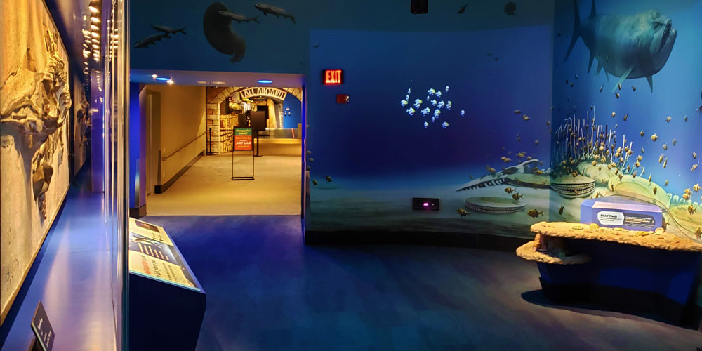 From left to right: marine fossil on display, the exit into the All Aboard! exhibit, the interactive digital fish wall, and the play table.