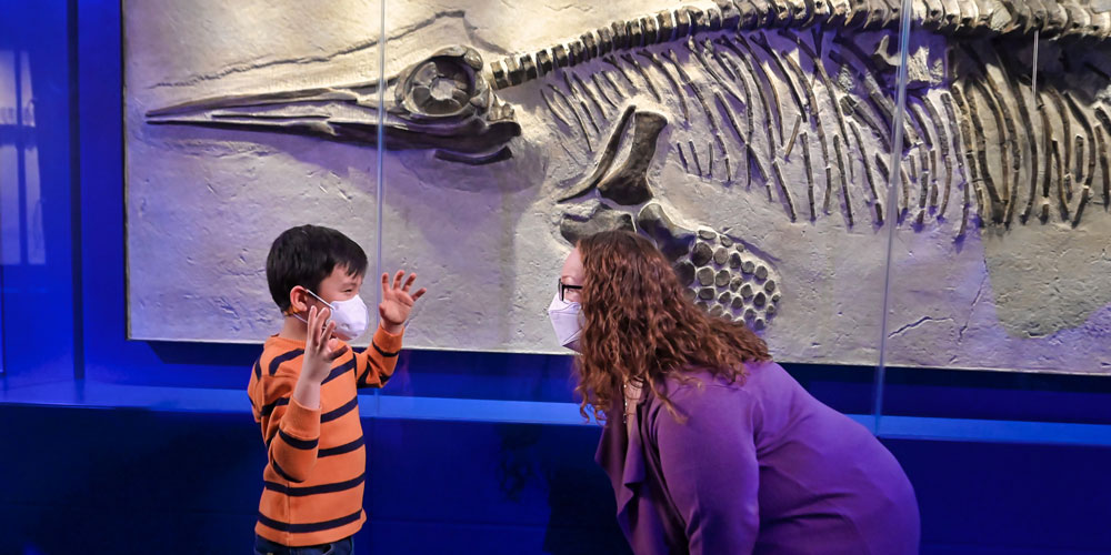 Child and grown-up standing in front of Baptanodon fossil. Child is holding up hands by head, emphasizing how big the fossil's eye socket is.