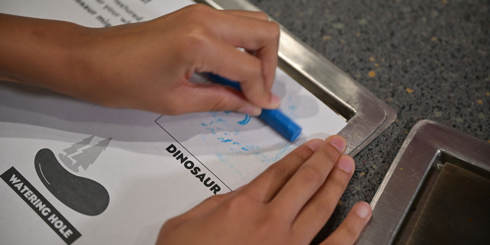 Close up of hands holding a blue crayon and rubbing the trackway onto a piece of paper.