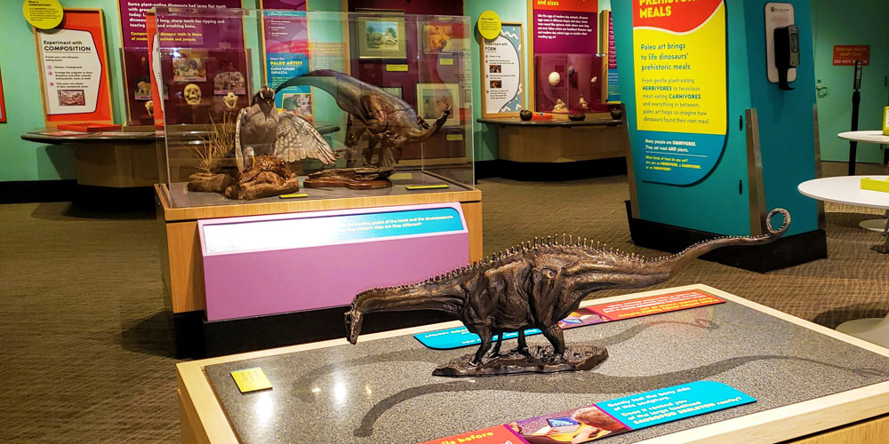 Bronze sauropod sculpture sitting on a table in the foreground. The background is full of examples of paleo art in cases in the Dinosphere Art Lab.