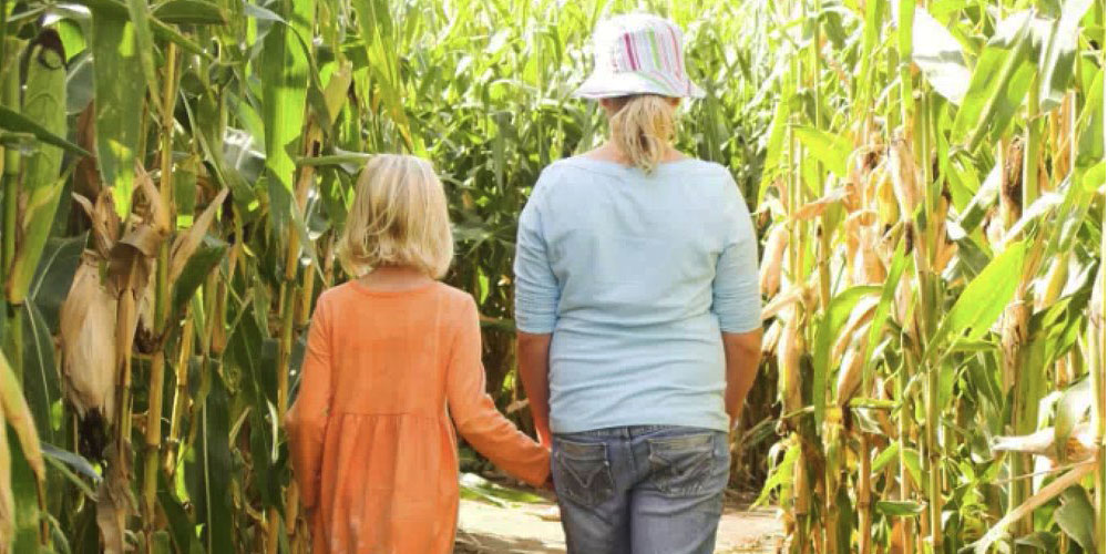 Corn Maze at Access Pass attraction Conner Prairie