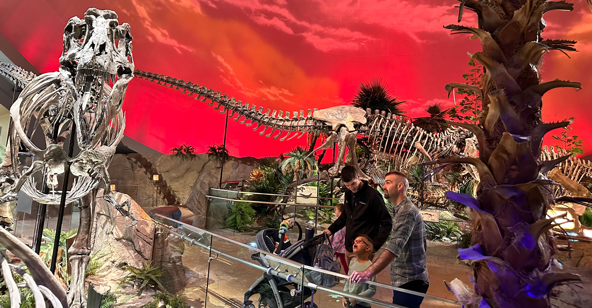 Family looking at a T. rex in Dinosphere.