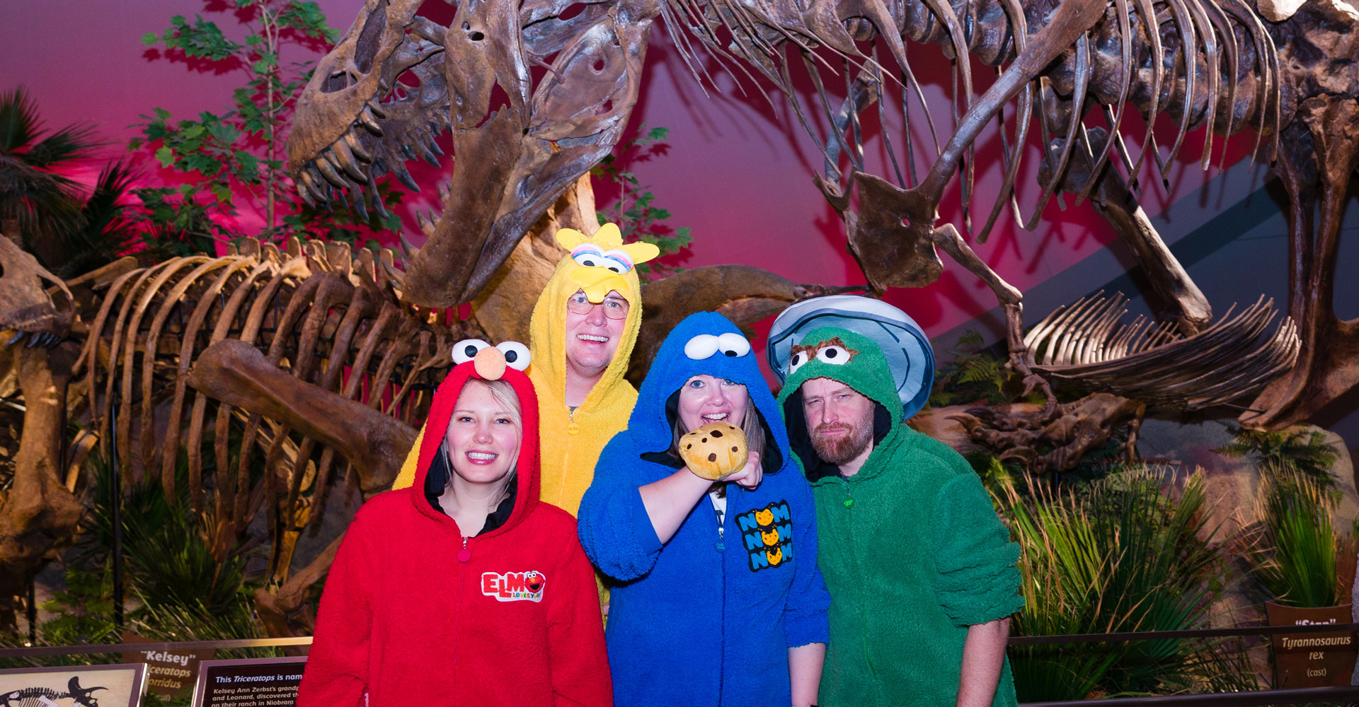 Four grown-ups wearing brightly colored costumes in Dinosphere exhibit.