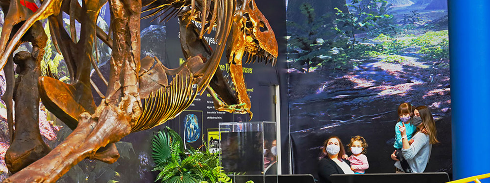 See Bucky the teenage T. rex in the SUE Meets Bucky exhibit at The Children's Museum of Indianapolis.