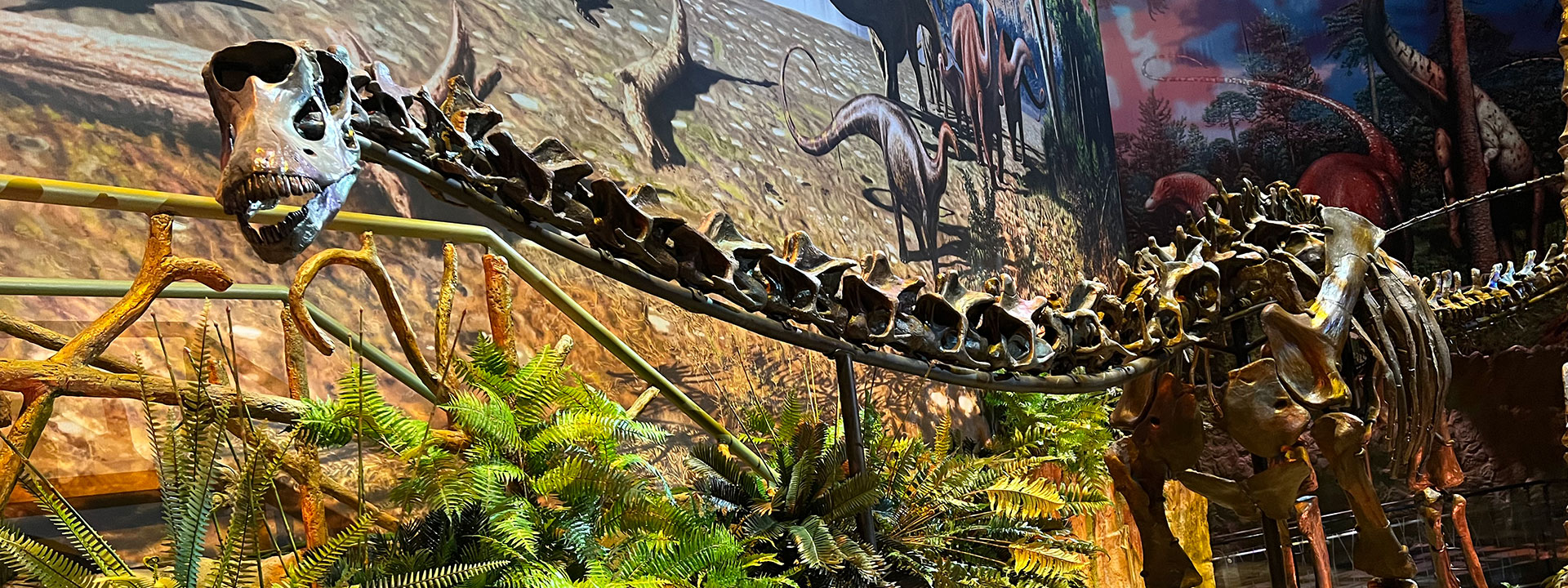 Klant combineren Tweede leerjaar The NEW Dinosphere® | The Children's Museum of Indianapolis
