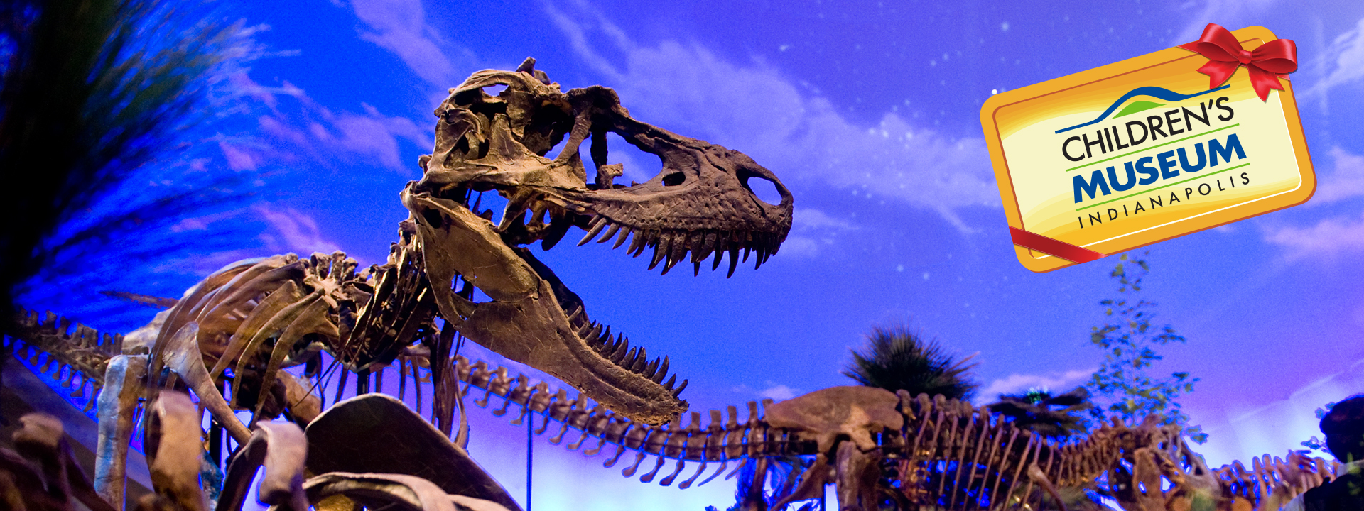 Dinosphere exhibit image featuring a T. rex